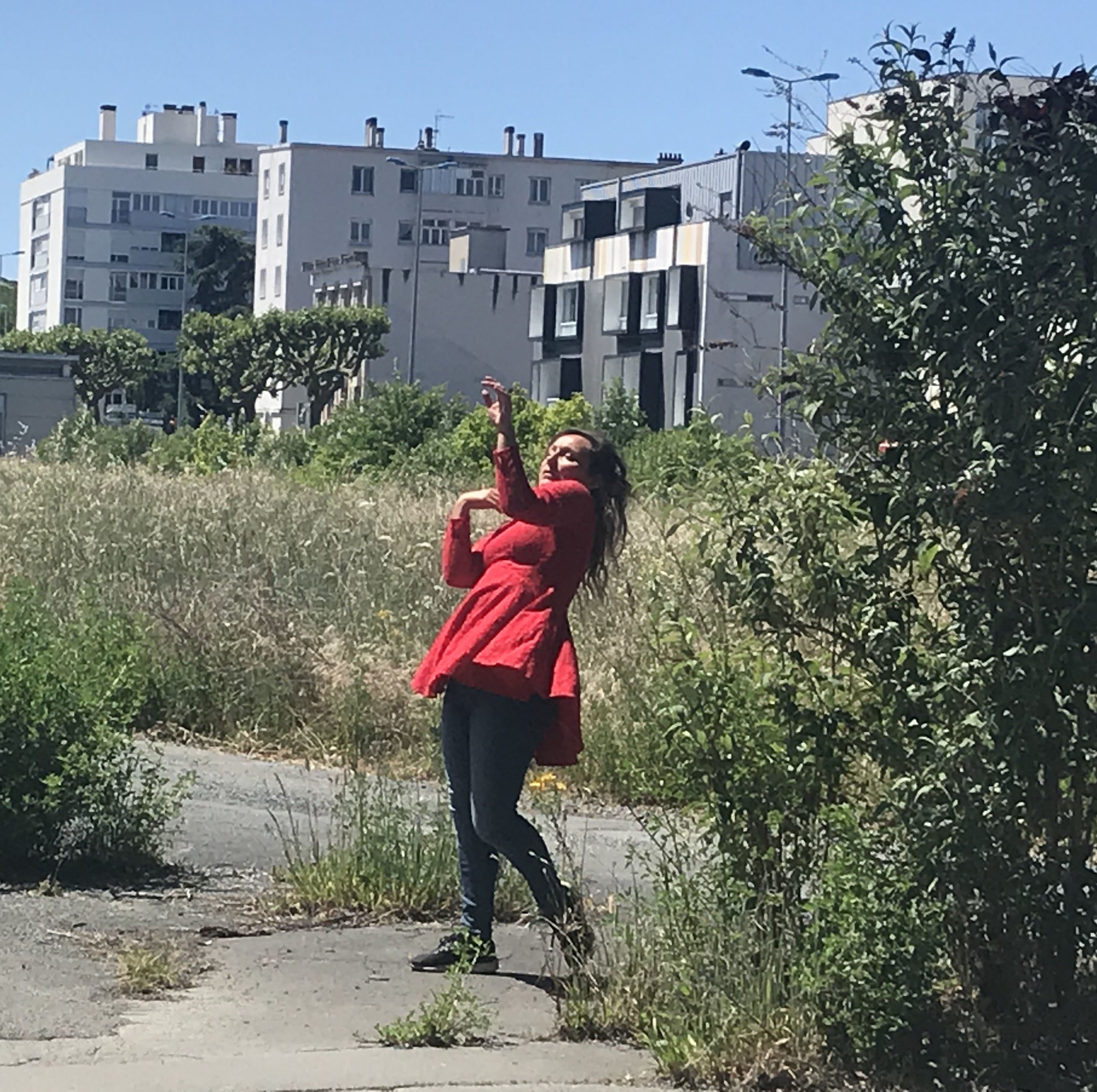 Accueil Compagnie La Baleine cargo